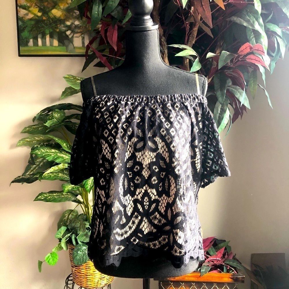 Jella C. Off the Shoulder Black Lace Short Sleeve Top